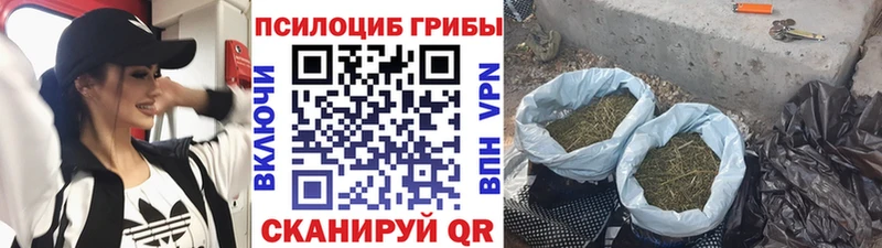 omg зеркало  Великие Луки  Галлюциногенные грибы ЛСД 