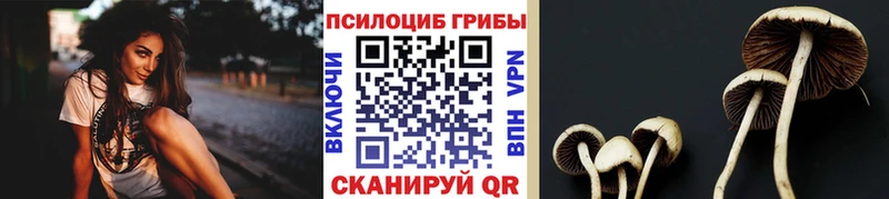 Галлюциногенные грибы GOLDEN TEACHER Великие Луки