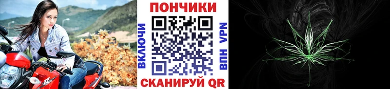 Канабис сатива  как найти   Великие Луки 